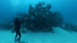 Les secrets engloutis Vaisseaux fantômes