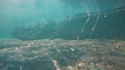 Les secrets engloutis L'Egypte et ses merveilles perdues