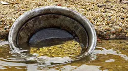 Les secrets engloutis  Les secrets de la ruée vers l'or