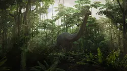 Les secrets engloutis Les secrets des dinosaures