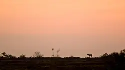 Les secrets engloutis L'Amérique engloutie