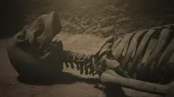 Les secrets engloutis Les citoyens perdus de Pompéi