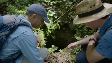 Le déclin des Mayas