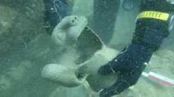 Les secrets engloutis du lac Titicaca