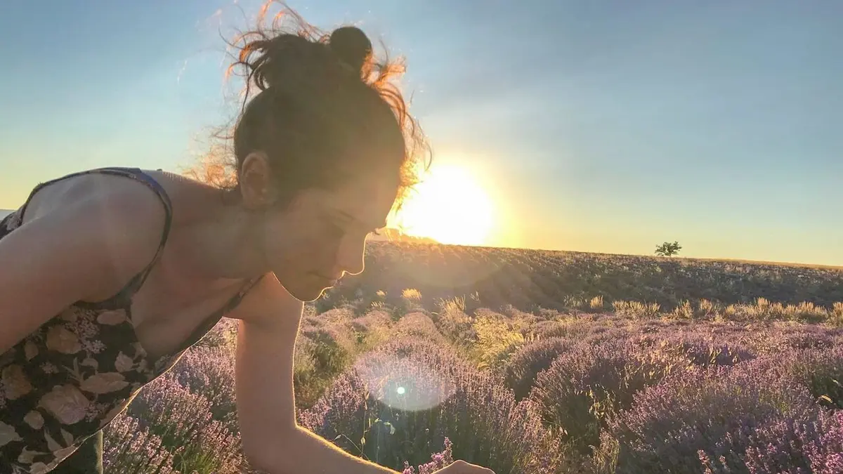 Les seigneurs de la lavande