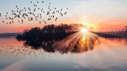 Les seigneurs de la nature