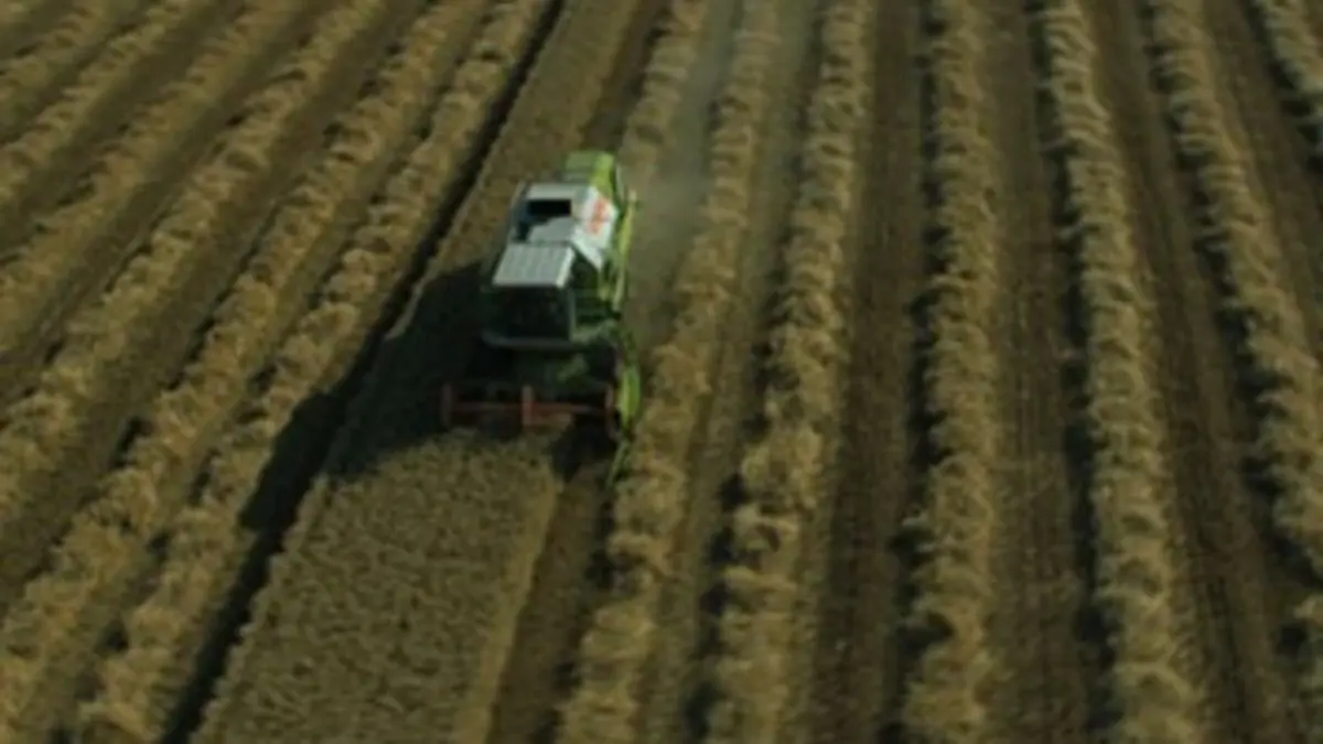 Les semences, une histoire de l'agriculture