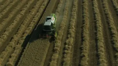 Les semences, une histoire de l'agriculture
