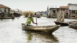 Les sentinelles de l'Afrique