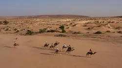 Les sentinelles de l'Afrique