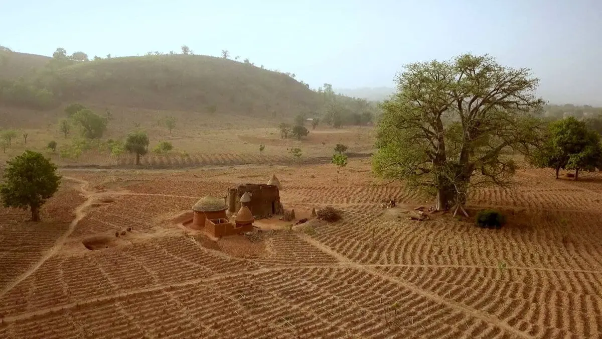 Les sentinelles de l'Afrique