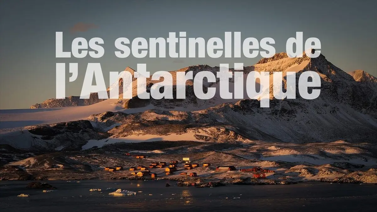 Les sentinelles de l'Antarctique