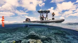 Visuel de Les sentinelles de la Grande Barrière de corail