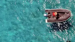 Les sentinelles de la Grande Barrière de corail