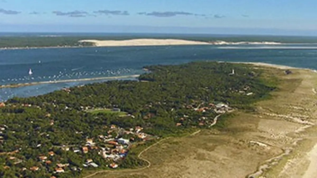 Les sentinelles du bassin