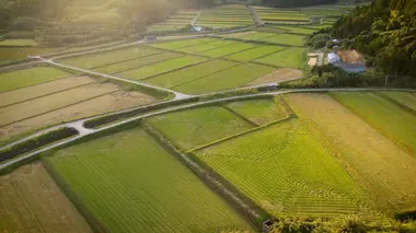 Le temps de l'action