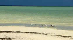 Les Seychelles, un paradis écologique