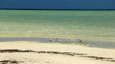 Les Seychelles, un paradis écologique
