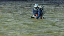 Les Seychelles, un paradis écologique