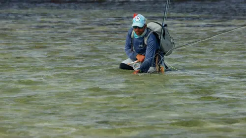 Les Seychelles, un paradis écologique