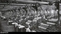 Les Seydoux au Cateau-Cambrésis. Histoire d'une dynastie