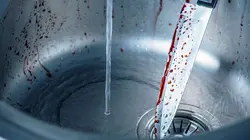 Les signes du mal Pas assez morte