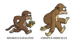 Les Simpson S17E21 Le vrai descendant du singe