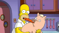 Visuel de Les Simpson, le film