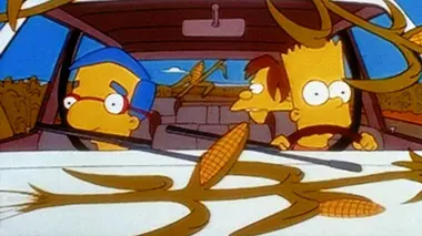 Les Simpson S07E20 Faux permis, vrais ennuis