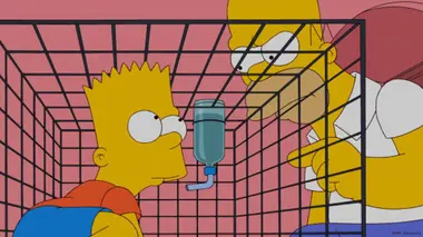 Les Simpson S23E15 Bart pose un lapin