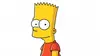 Ned Flanders dans Les Simpson S22E10 Faux amis (2011)