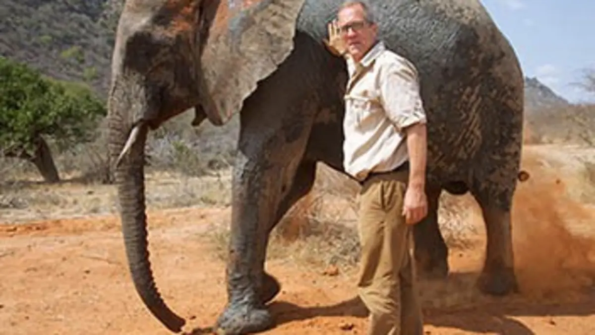 Les soldats de l'ivoire