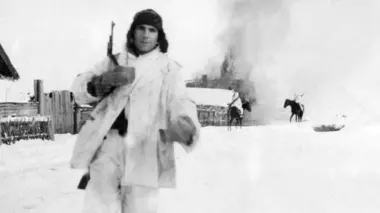 Les soldats français du Reich