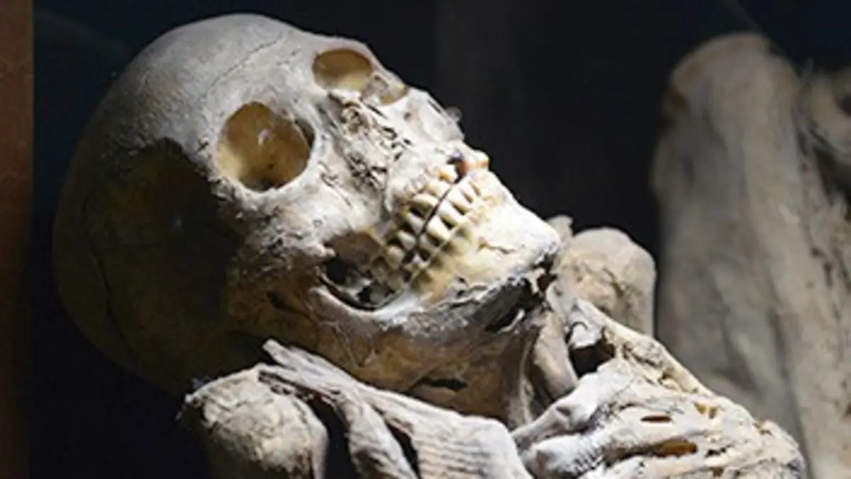 Les soldats oubliés de Carthage