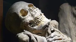 Visuel de Les soldats oubliés de Carthage