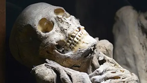 Les soldats oubliés de Carthage