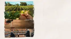 Les sommeliers, la mémoire du goût