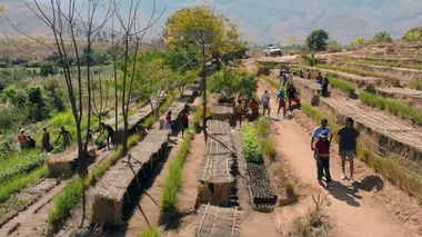 Madagascar : l'Andringitra et l'Ibity