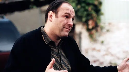 Les Soprano S01E13 Mise au point