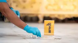 Visuel de Les spécialistes : investigation scientifique