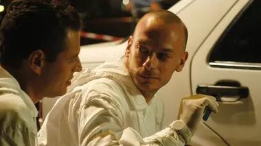 Dernière ligne droite