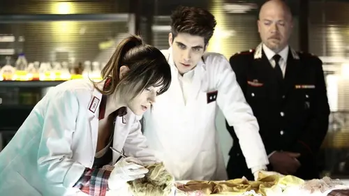 Les spécialistes : investigation scientifique S07E17 Par amour