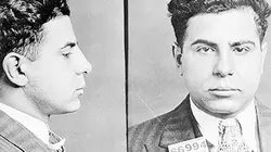 Visuel de Les stars de la mafia