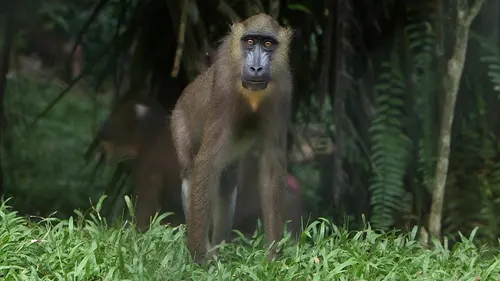 Les super-pouvoirs de la peau S01E04 Communication