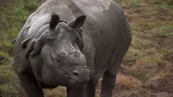 Les super-pouvoirs de la peau S01E01 Adaptabilité