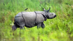 Les super-pouvoirs de la peau