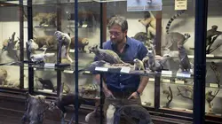 Les super-pouvoirs de la peau S01E01 Adaptabilité