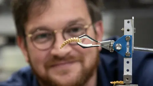 Les super-pouvoirs de la peau