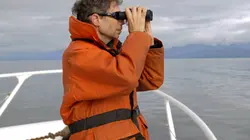 Les super-prédateurs des mers L'union fait la force