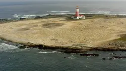 Les super-prédateurs des mers Chasses en territoire hostile